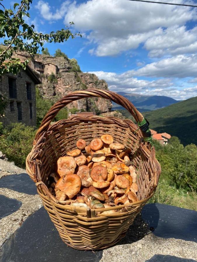 Vila Cal Ferrer Habitatge Rural Cava Exteriér fotografie