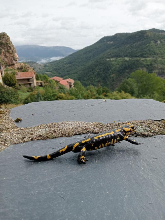 Vila Cal Ferrer Habitatge Rural Cava Exteriér fotografie
