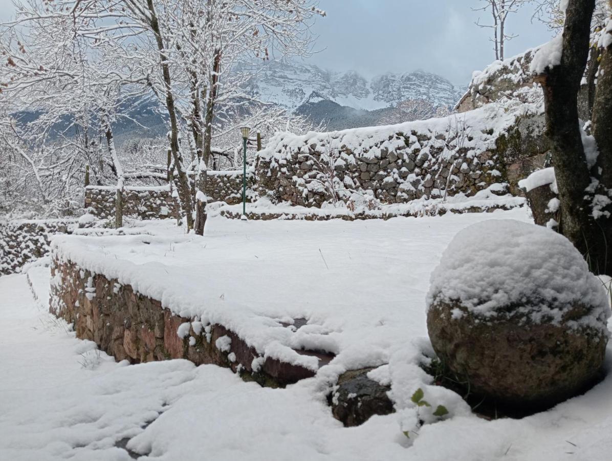 Vila Cal Ferrer Habitatge Rural Cava Exteriér fotografie